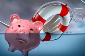 是谁说,风口上的猪都能飞起来?