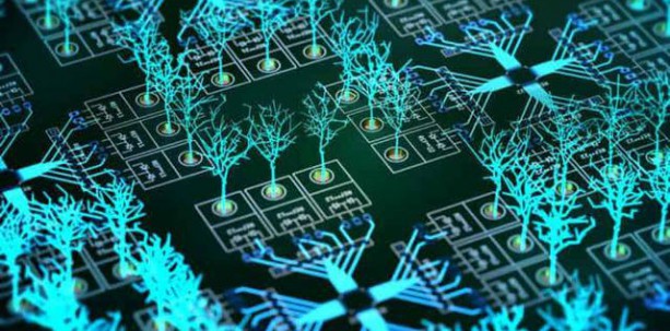 美国能源部专家:量子计算能与经典计算共同应对气候变化